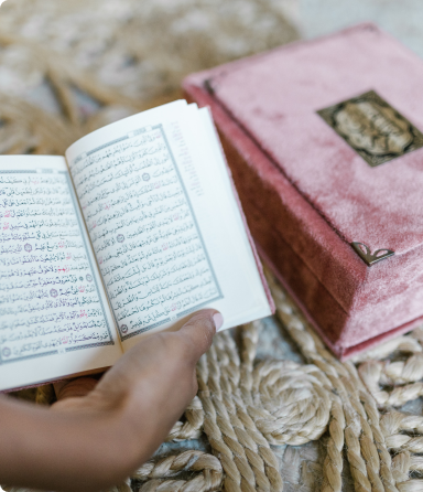 جميع دورات الصرف